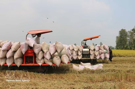 Viet Nam promotes cooperation to remove barriers to rice trade with Philippines